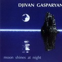 ������ �������� Moon shines at night